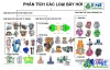 Phân tích ưu nhược điểm các loại bẫy hơi
