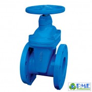 DRGV-D- Van cửa gang dẻo ty chìm PN16