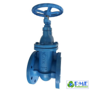 IGV-D- Van cửa gang dẻo ty chìm PN16