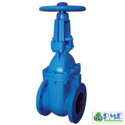 R-CGV-B - Van cửa gang ty nổi PN16