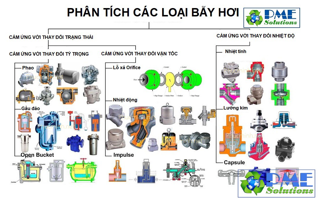 Cac loai bay hoi
